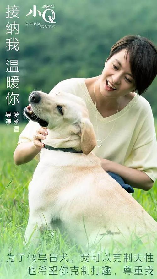 兴业银行账单怎么买高仿